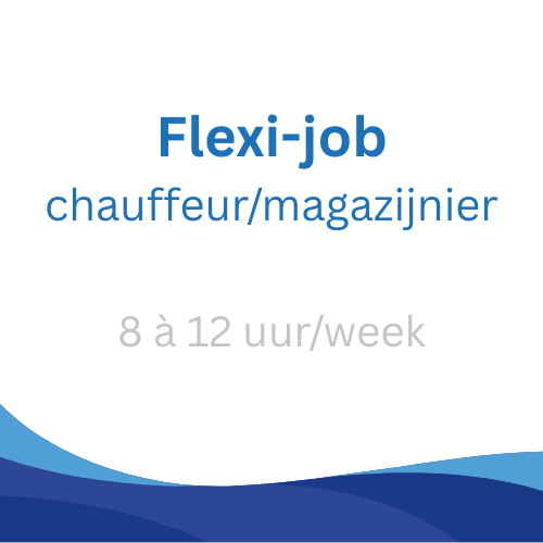 Projectleider Hvactechnieken (3)